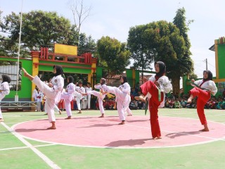 Karateka